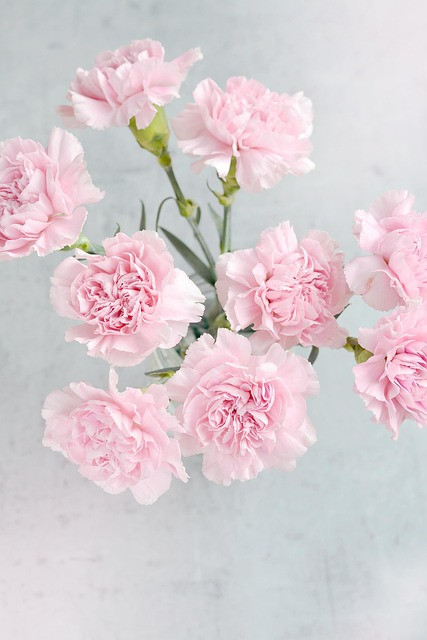Affordable Cremation Arrangements: What You Need to Know
