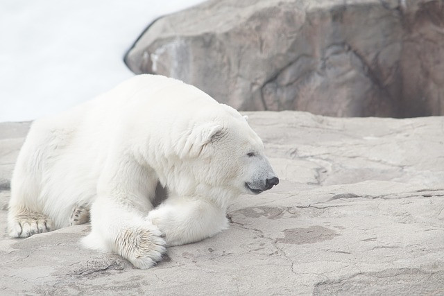 Minimalist Blogging with Bear: Practical Workflow to Publish from Notes