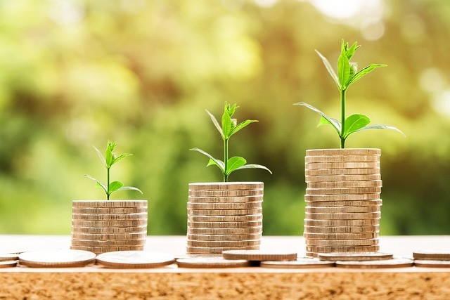 Choosing and Using a Financial Statement Generator for Small Businesses