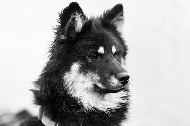 NSFW Image Generator API: Chat & Character API Guide