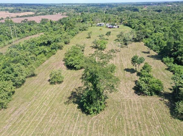 Buy Land in Belize: Practical Guide for Buyers