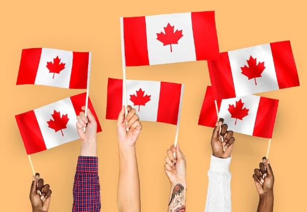 Using Canada's NOC: How to Identify and Classify Job Titles Correctly