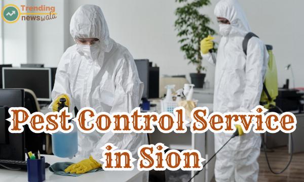 Pest Control Services Sion — A Practical Guide to Protecting Your Home