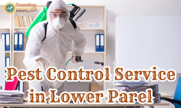 Essential Guide to Pest Control Services in Lower Parel: Protect Homes and Businesses