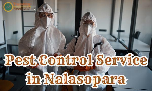 How to Choose Reliable Pest Control Services in Nalasopara: A Practical Guide