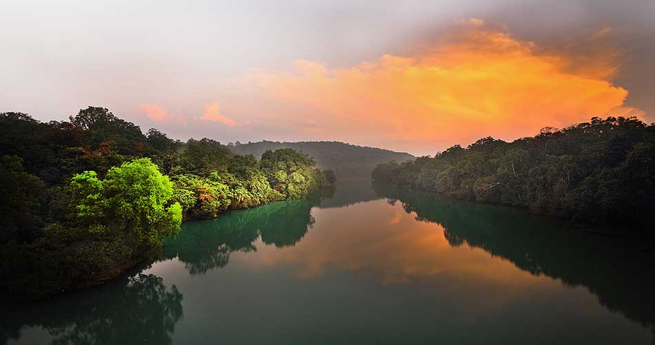 Best Dandeli Homestays: Complete Guide to Choosing and Preparing for a Perfect Stay