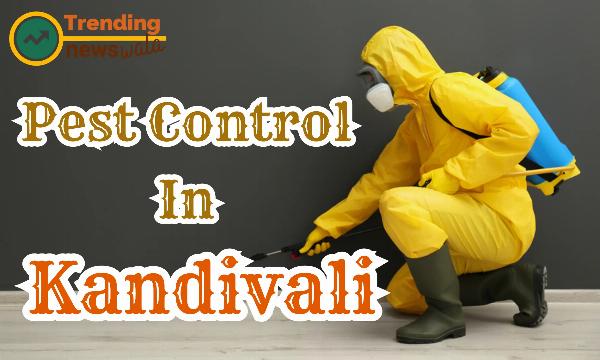 Safe Home Pest Control in Kandivali: Practical Guide to Prevent Infestations
