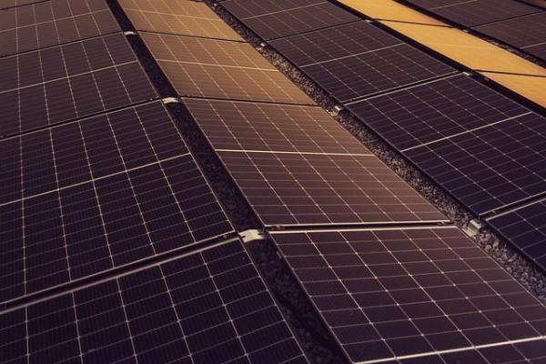 How Solar Trolleys Helps Small Business to Save Money?