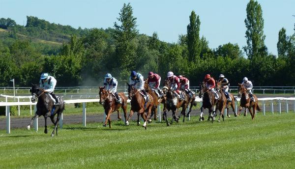 Horse Racing: A Thriving Sport In India