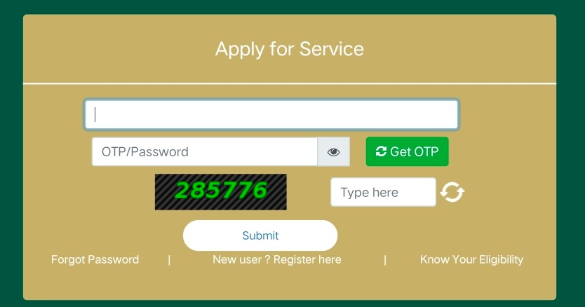 How the Seva Sindhu Karnataka Portal Transformed Public Service Delivery