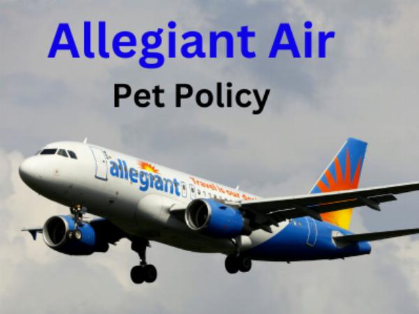 Allegiant Air Pet Rules: How Many Pets Are Allowed Per Passenger and Flight