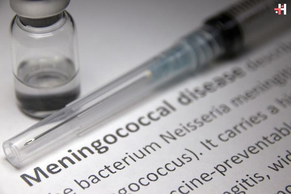 How Meningococcal Antibodies Defend Against Neisseria meningitidis