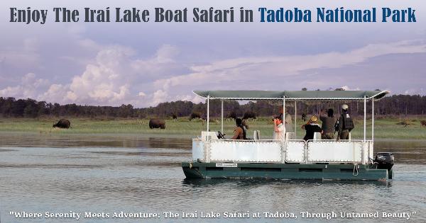 Irai Lake Boat Safari: Birding, Wildlife and Visitor Guide for Tadoba