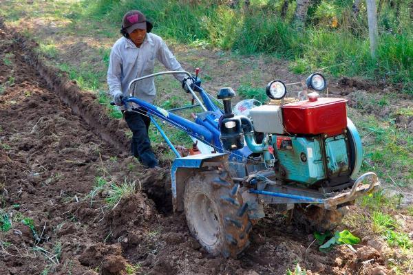 Top Garden Tillers: Choose the Best Tillers for Easy Soil Preparation