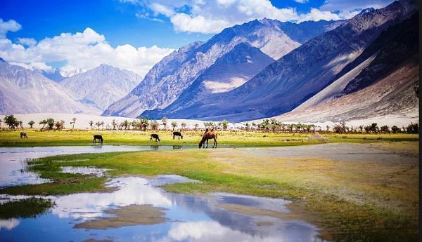 Leh to Nubra Valley Tours: Complete Guide to Nubra Valley Tour Packages