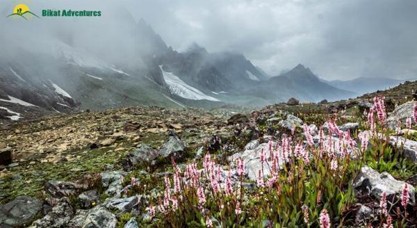 Kashmir Great Lakes Trek: Complete Guide to Alpine Lakes, Meadows, and Routes