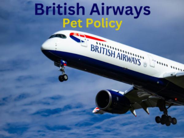 Bringing Pets on British Airways: Rules, Costs, and Alternatives