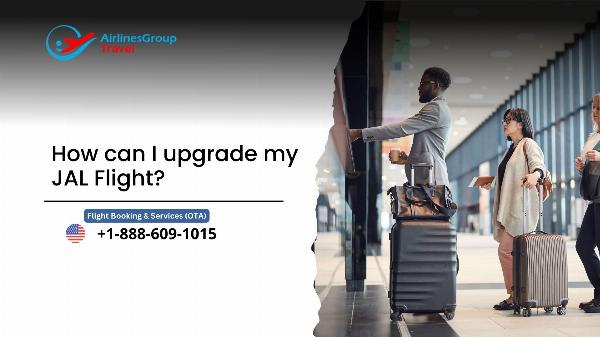 Japan Airlines Upgrade Guide: How to Use Miles, Bids, and Upgrade Policy