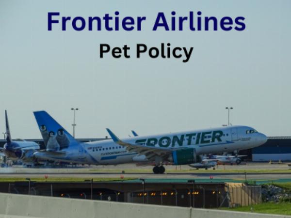 Complete Guide to Traveling with Pets on Frontier Airlines