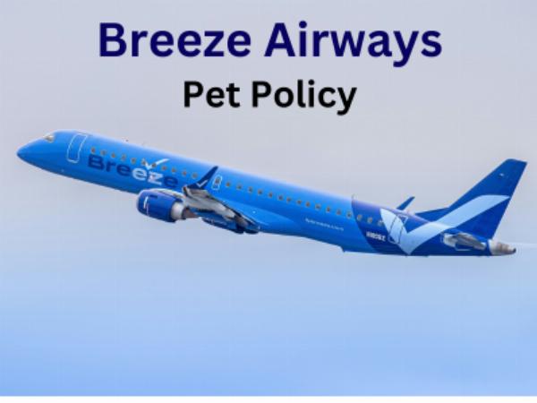 Breeze Airways Pet Policy: Rules, Fees, and How to Travel with Pets
