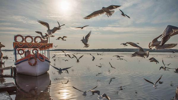 Triveni Sangam at Somnath: Guide to the Confluence of Culture and Coast