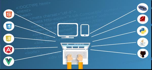 Full Stack vs Specialized Development: How to Choose for Projects and Careers