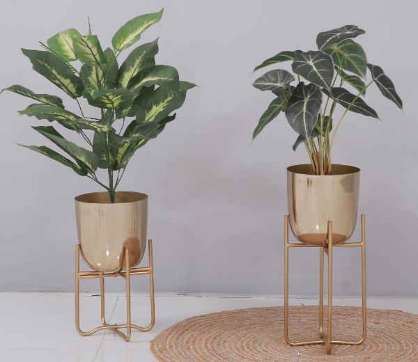 Stylish Plant Stands: Creative Ideas to Showcase Indoor and Outdoor Greenery
