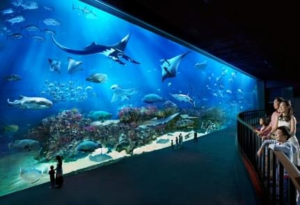 S.E.A. Aquarium Singapore Tickets & Visitor Guide: Prices, Hours, and Tips