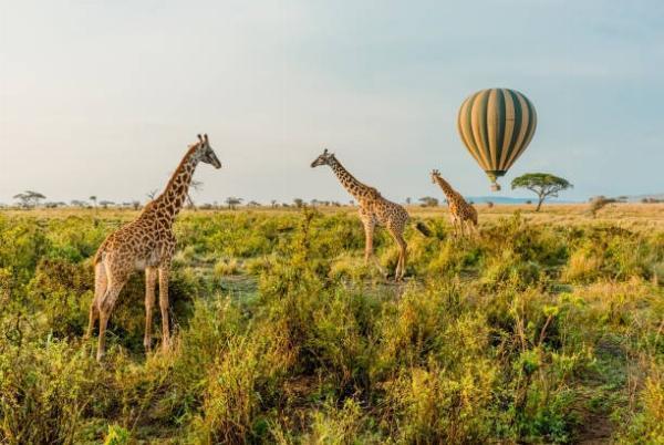 5 Unforgettable Cultural Experiences in Tanzania: Practical Guide for Travelers