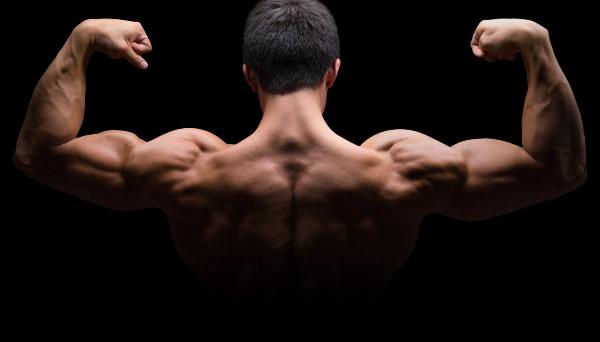 Ostarine (MK-2866) Powder: Science, Safety, Dosage, and Practical Guide