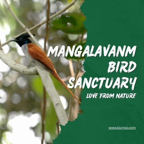  Mangalavanam Bird Sanctuary: Mangalavanam Bird Sanctuary,Ticket Prices And Complete Guide