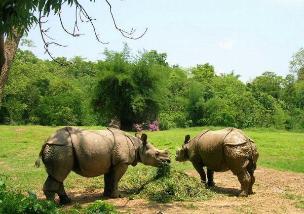 Complete Guide to Guwahati Zoo: Ticket Price, Timings, Attractions and Planning Checklist