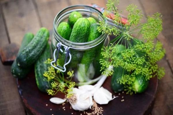 Top Cucumbers for Homemade Pickles: Varieties, Tips, and a CRISP Checklist