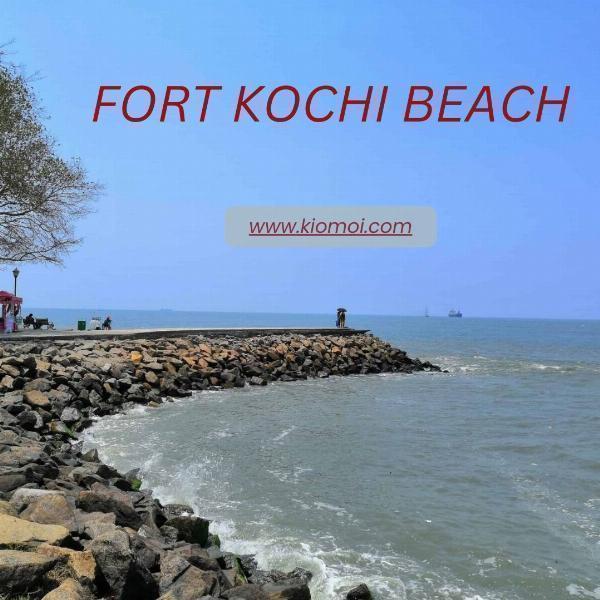 Best Ways to Reach Fort Kochi: Airport, Ferry, Train & Local Transfers