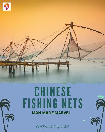 Kochi’s Chinese Fishing Nets: A Practical History, Mechanics, and Cultural Guide
