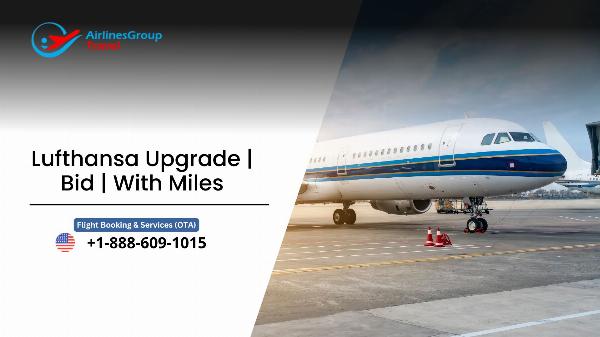 How to Upgrade on Lufthansa: Use Miles or Bid for a Higher Cabin