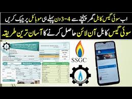 SNGPL Online Bill Check: Practical Guide to Viewing, Verifying, and Managing Gas Bills