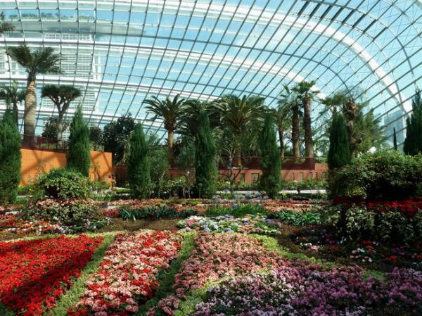 Best Things to Do in Singapore: 7 Unmissable Experiences for Every Traveler