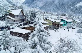 Lachung Tour Packages: Complete Guide to Planning, Costs, and Top Itineraries