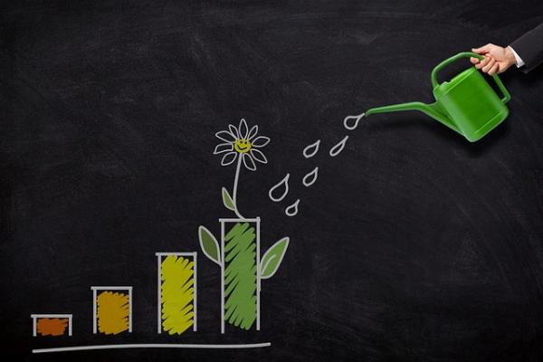 Comparing Gross and Net Non-Performing Assets (NPA)