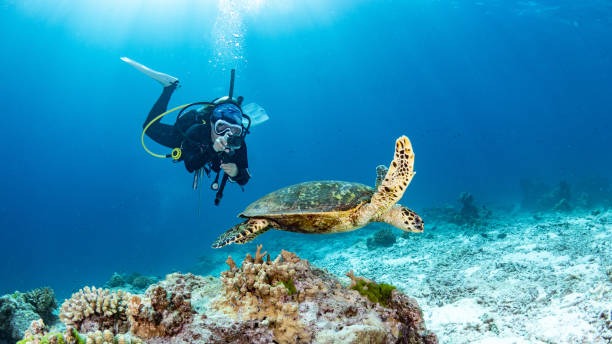 Unforgettable Andaman: Best Beaches, Islands, and More