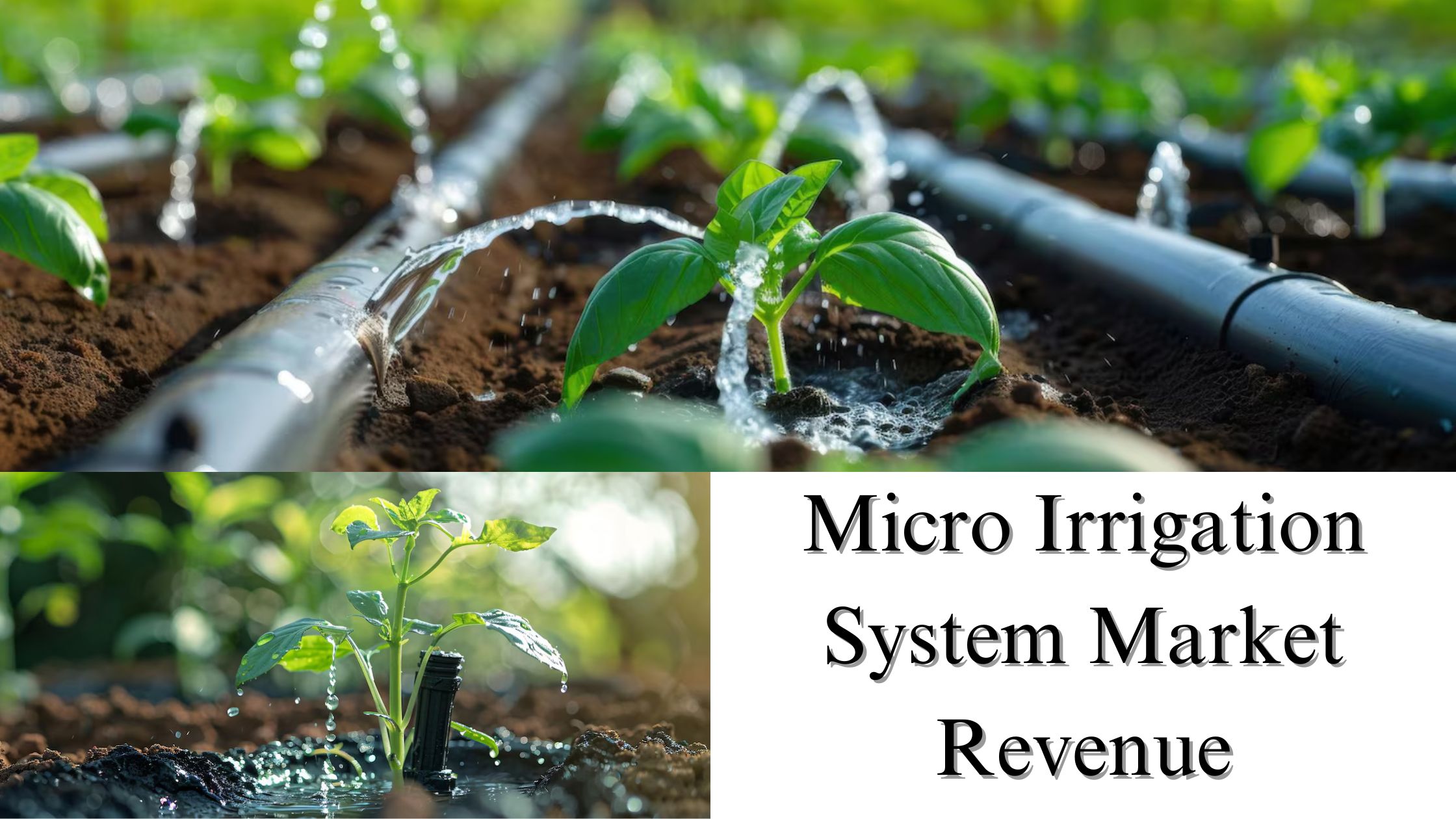 Micro Irrigation System Market Revenue, Size, Share, and Growth Trends by 2032