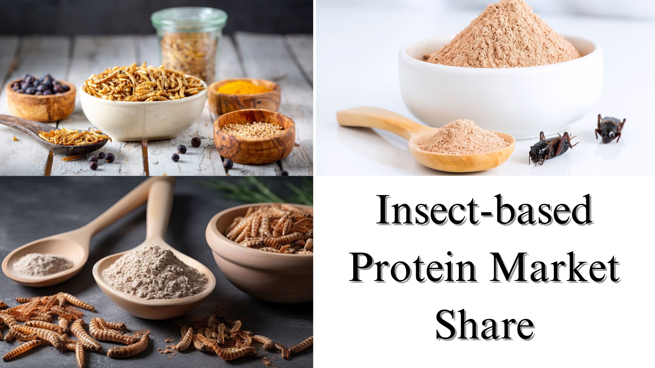 Insect-based Protein Market Share, Size, Growth and Forecast Through 2029