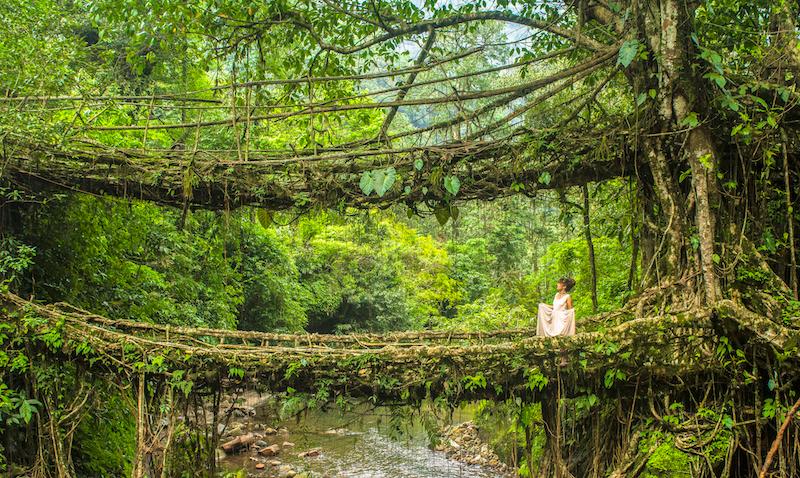Cherrapunji Dawki Shillong Tour: Exploring the Heart of Meghalaya