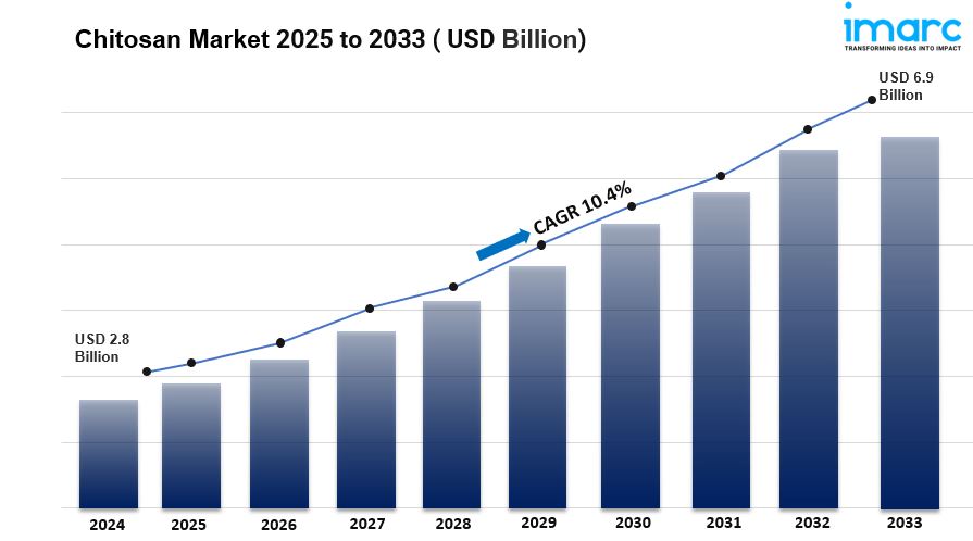 Global Chitosan Market - Growth Drivers & Opportunities 2033