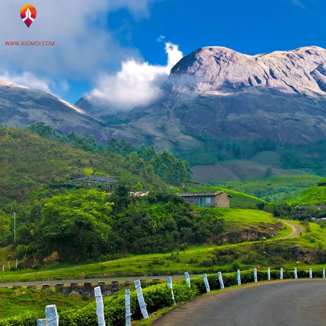 Complete Guide to Munnar Tour Packages: Itineraries, Costs, and Planning Checklist