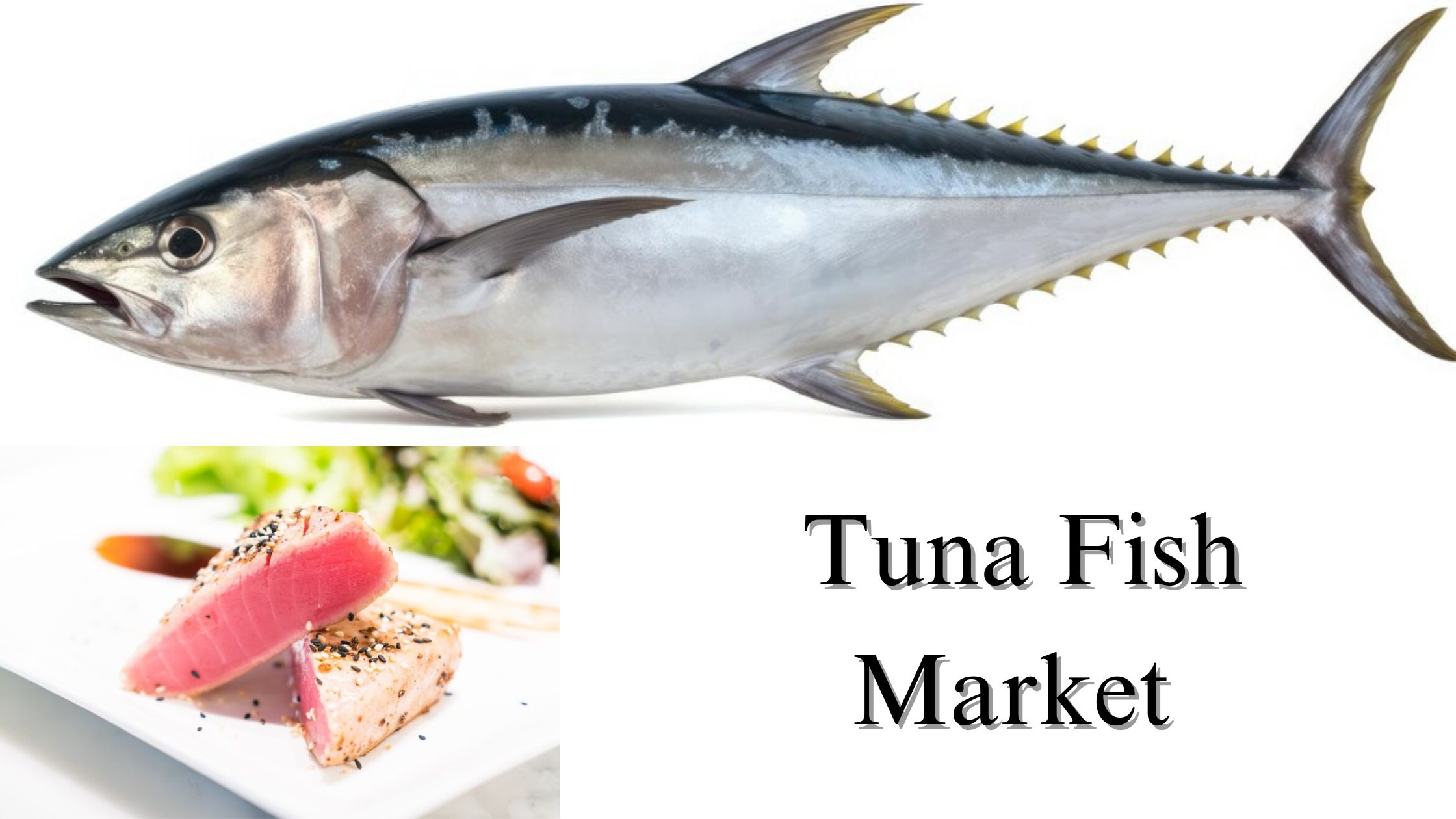 Tuna Fish Market Key Revenue Drivers, Growth Opportunities, and Industry Forecast to 2032