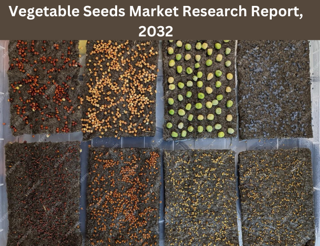 Vegetable Seeds Market Size, Future Growth, and Key Trends, 2032