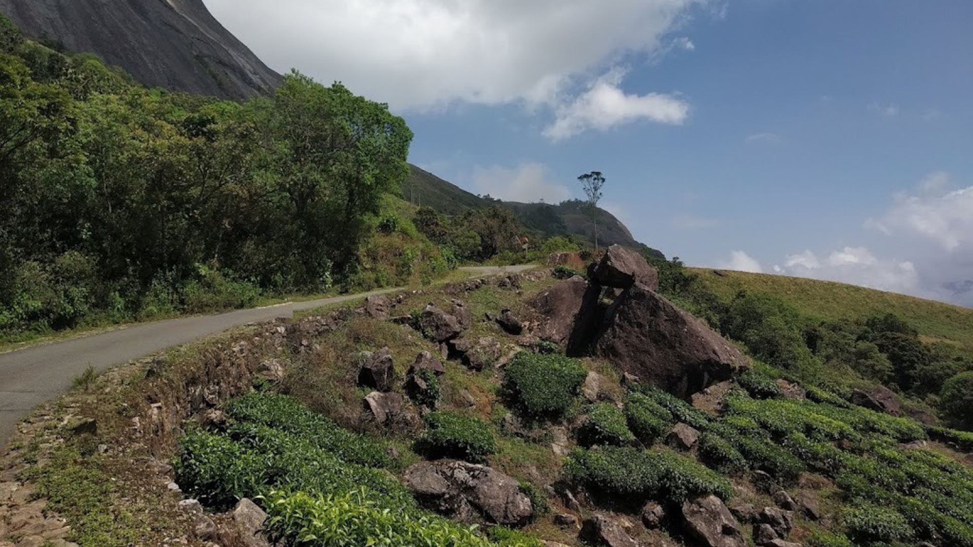 Best Places to Go in India in January: A Traveler&rsquo;s Delight
