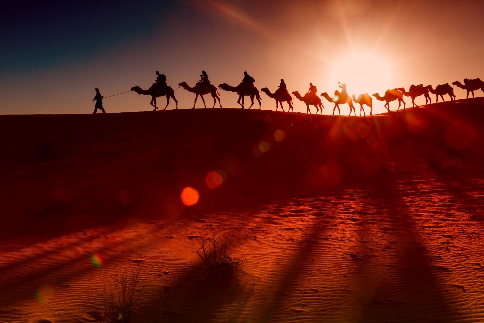 Top 10 Must-Visit Destinations  in Saudi Arabia